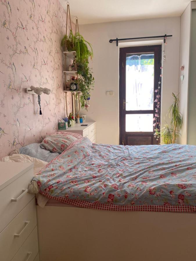 Zielone Zarabie Residence ミシレニツェ エクステリア 写真